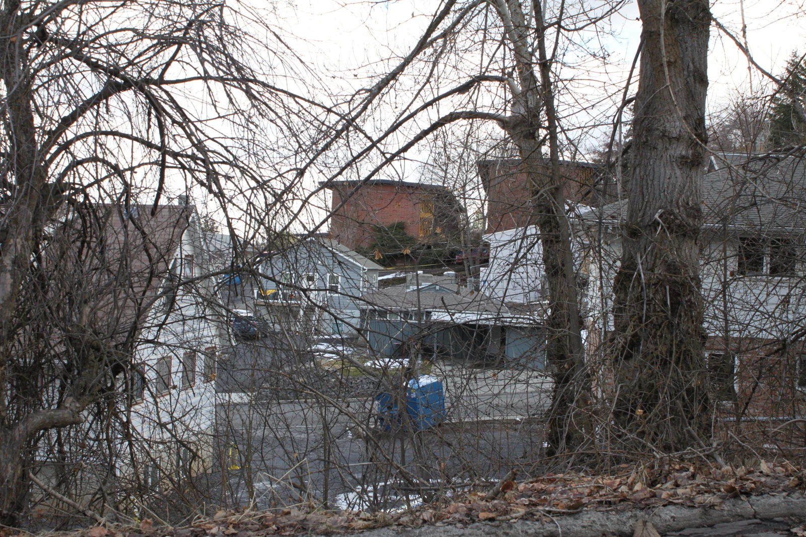 Light-colored multi-level house seen through bare branches from a roadside, with boarded windows and neighboring roofs.