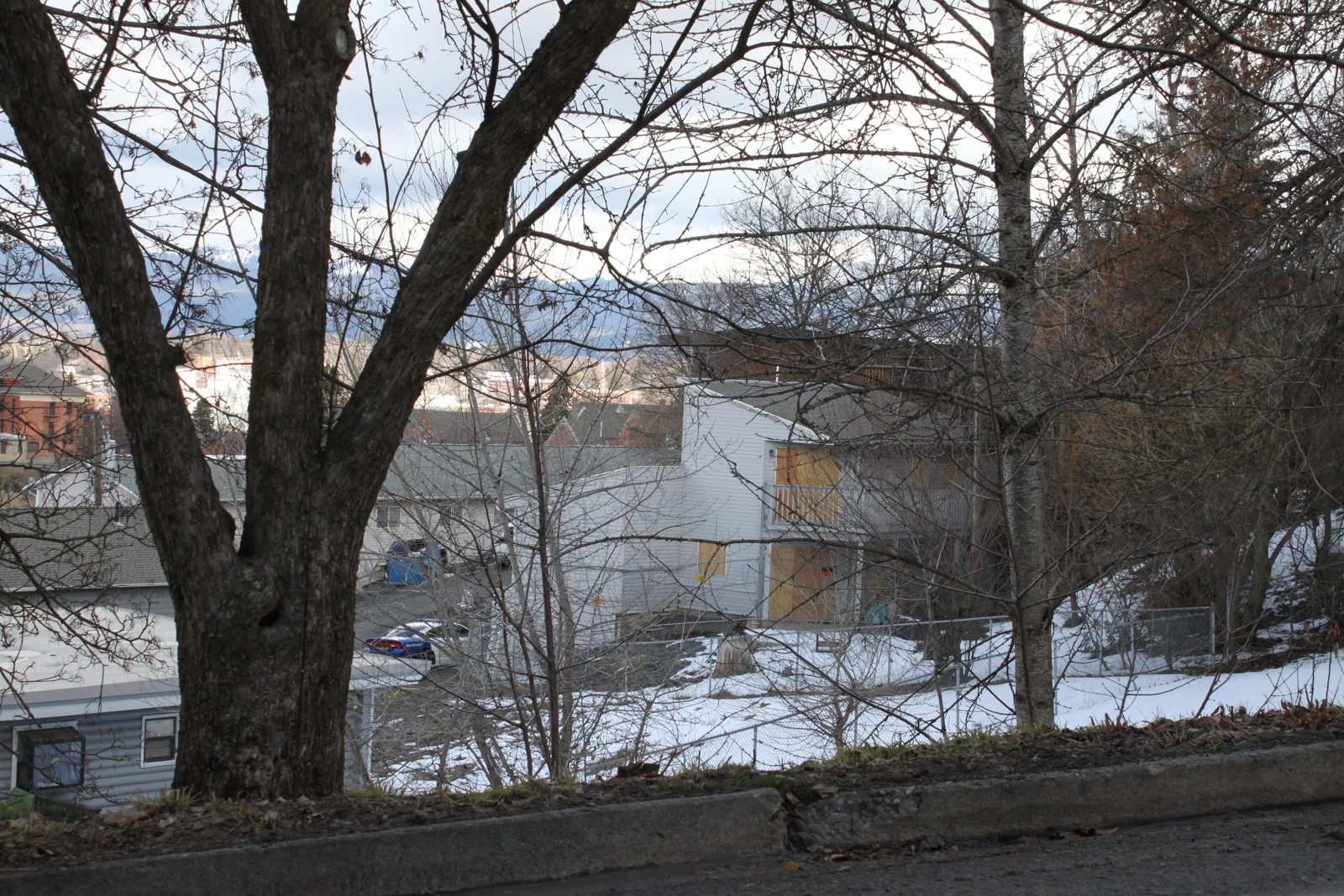 House and neighboring roof behind a large tree trunk, with snow on a hillside and a curb in the foreground.