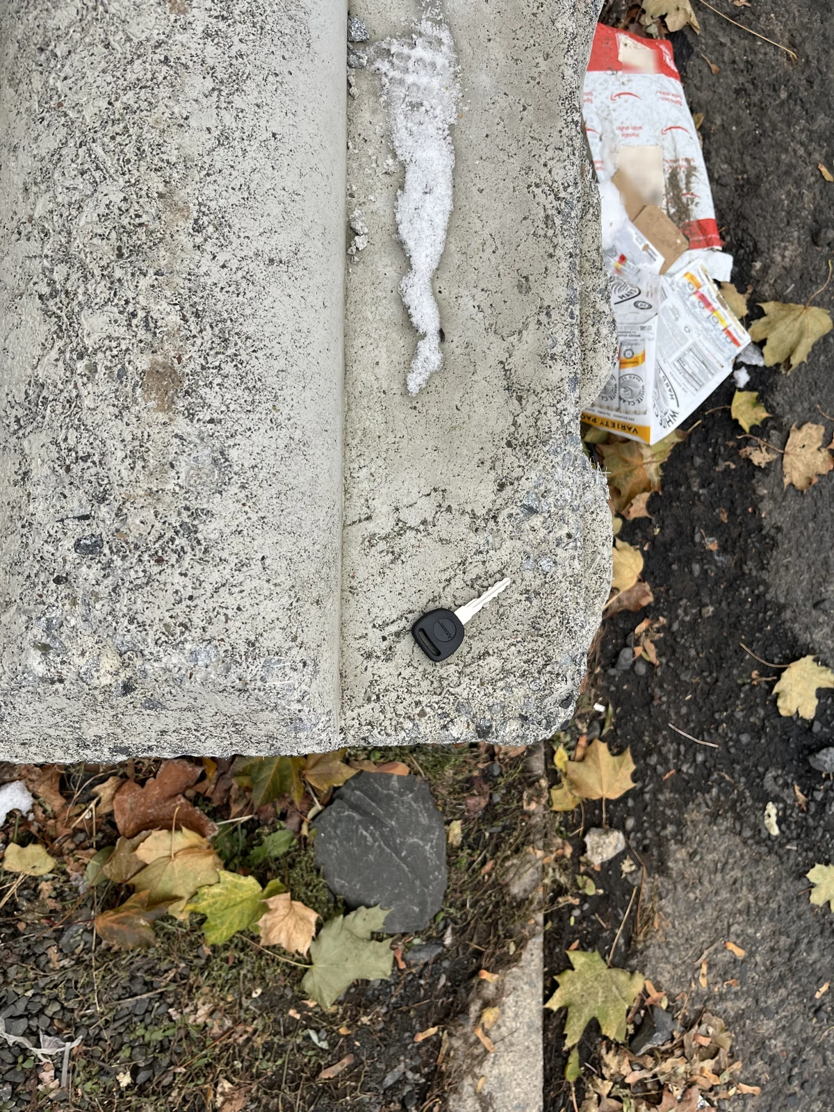 A metal key with a black head lying on a concrete curb, beside leaves, a narrow strip of snow and discarded packaging.