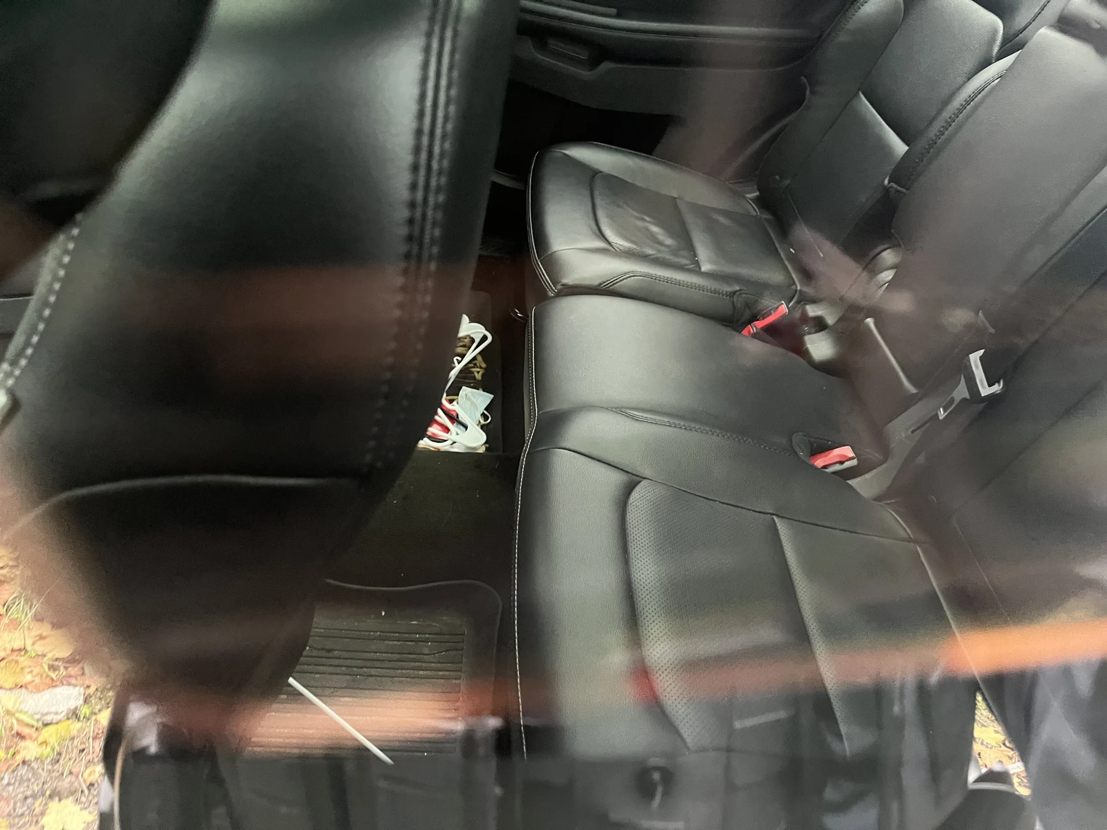 View through vehicle glass of a black leather rear bench seat, seat-belt buckles, front seat back and loose items on the floor.
