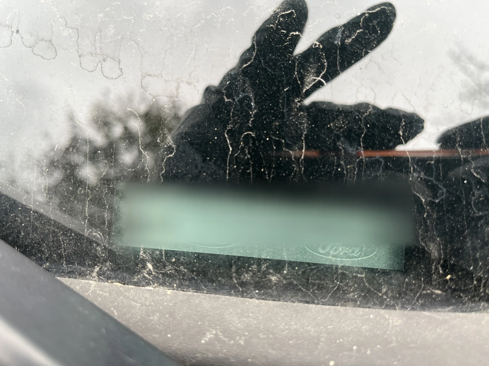 Close photograph through a vehicle windshield of a blurred identification area, with reflected branches and a raised hand visible on the glass.