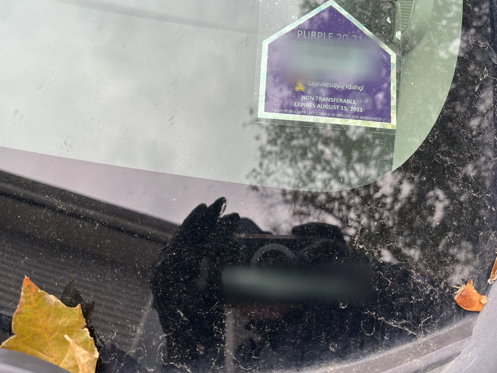 Windshield close-up with a purple University of Idaho parking permit, fallen leaves, reflections and a blurred identification area.