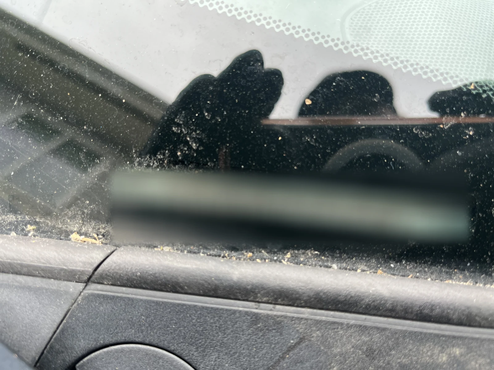 Close view through a windshield of a blurred vehicle identification area, with dashboard and reflections of the photographer visible.