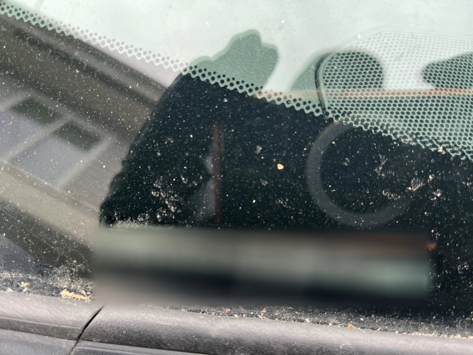 Alternate windshield close-up with a blurred identification strip, dashboard vent and reflected camera visible.