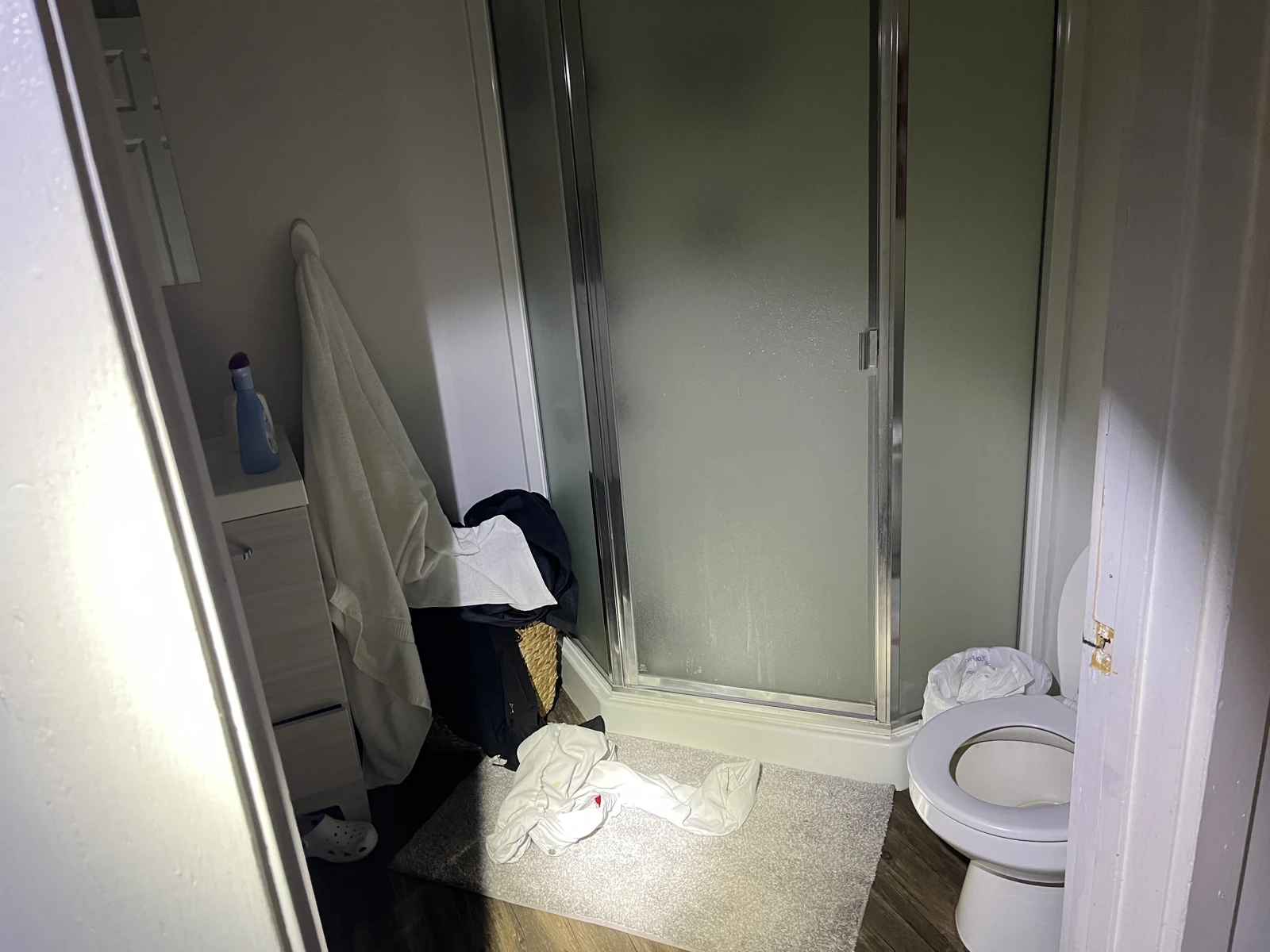 Bathroom doorway showing a frosted shower enclosure, toilet, hanging towels and a white cloth on the bath mat.