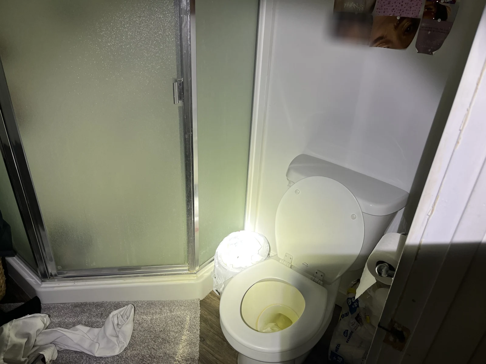 Toilet beside a frosted shower enclosure, small waste bin and crumpled white cloth, lit by a flashlight.
