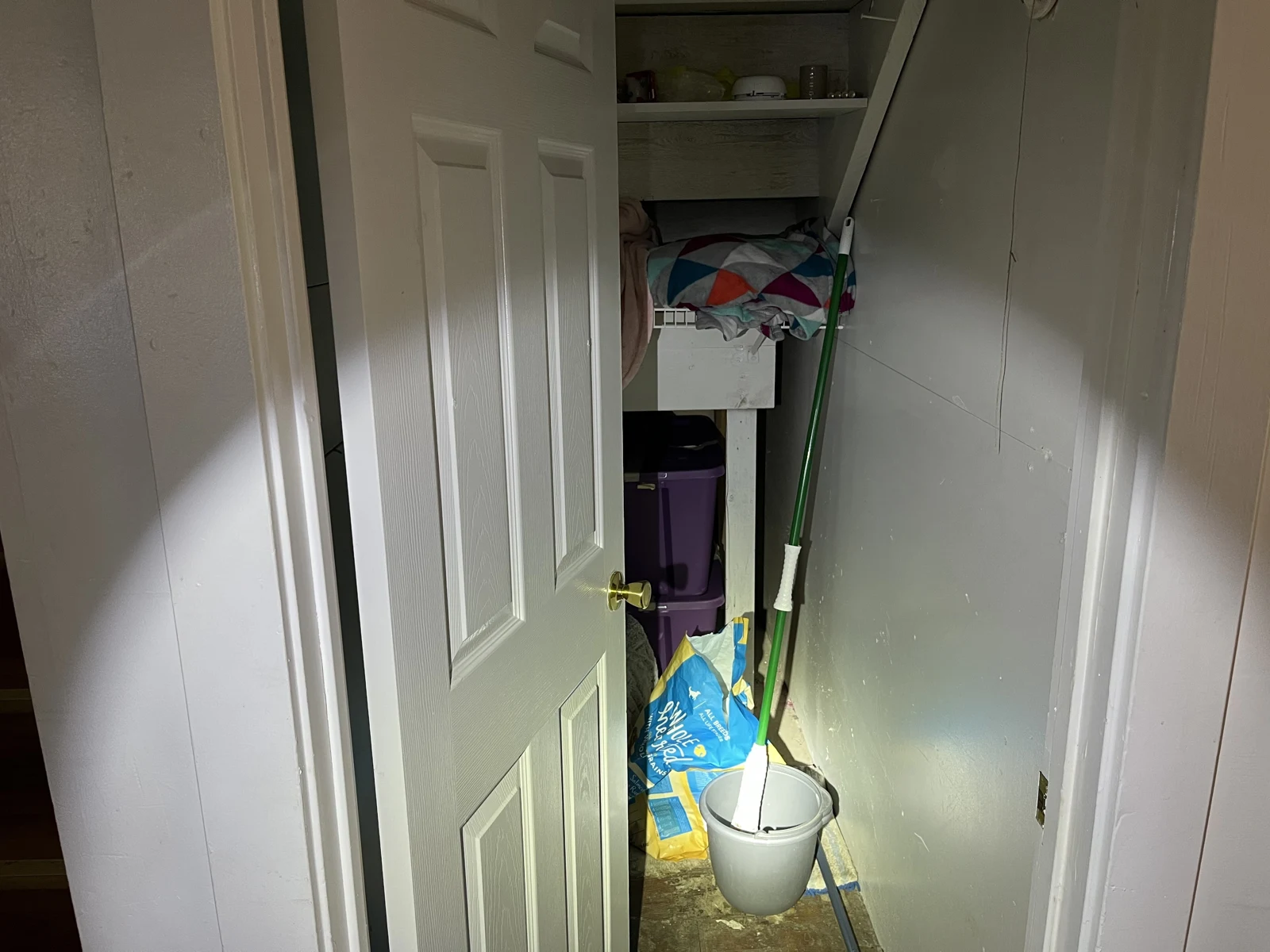 Open storage closet with shelves, folded textiles, purple containers, a mop, bucket and shopping bag.