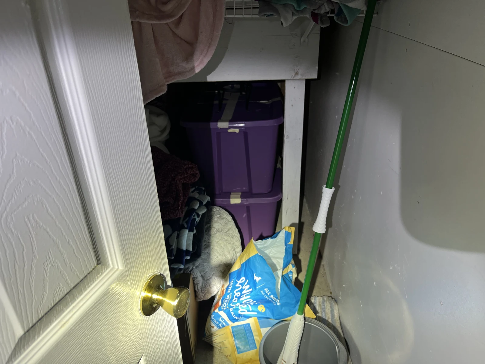 Closer view of a storage closet containing purple bins, blankets, a green-handled mop, a bucket and a blue-and-yellow bag.