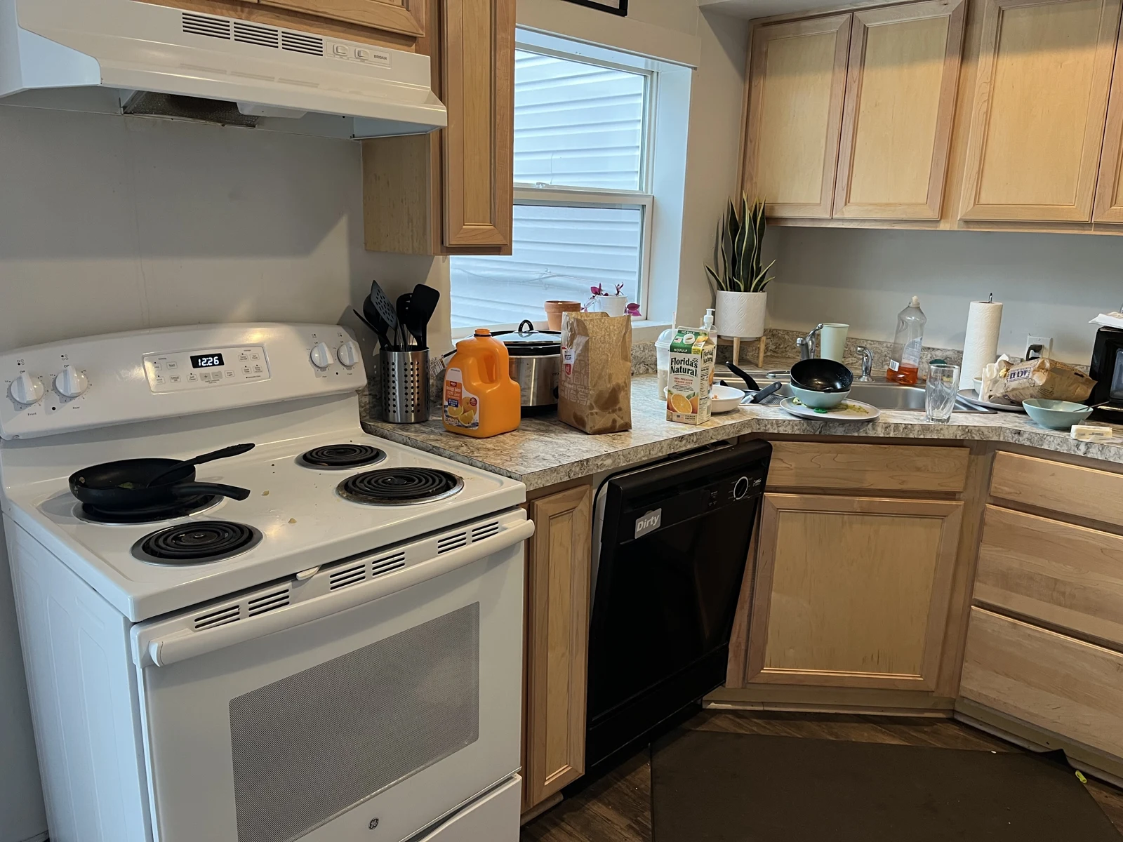 Kitchen stove with a pan, range hood, black dishwasher and cluttered countertop beneath wooden cabinets.