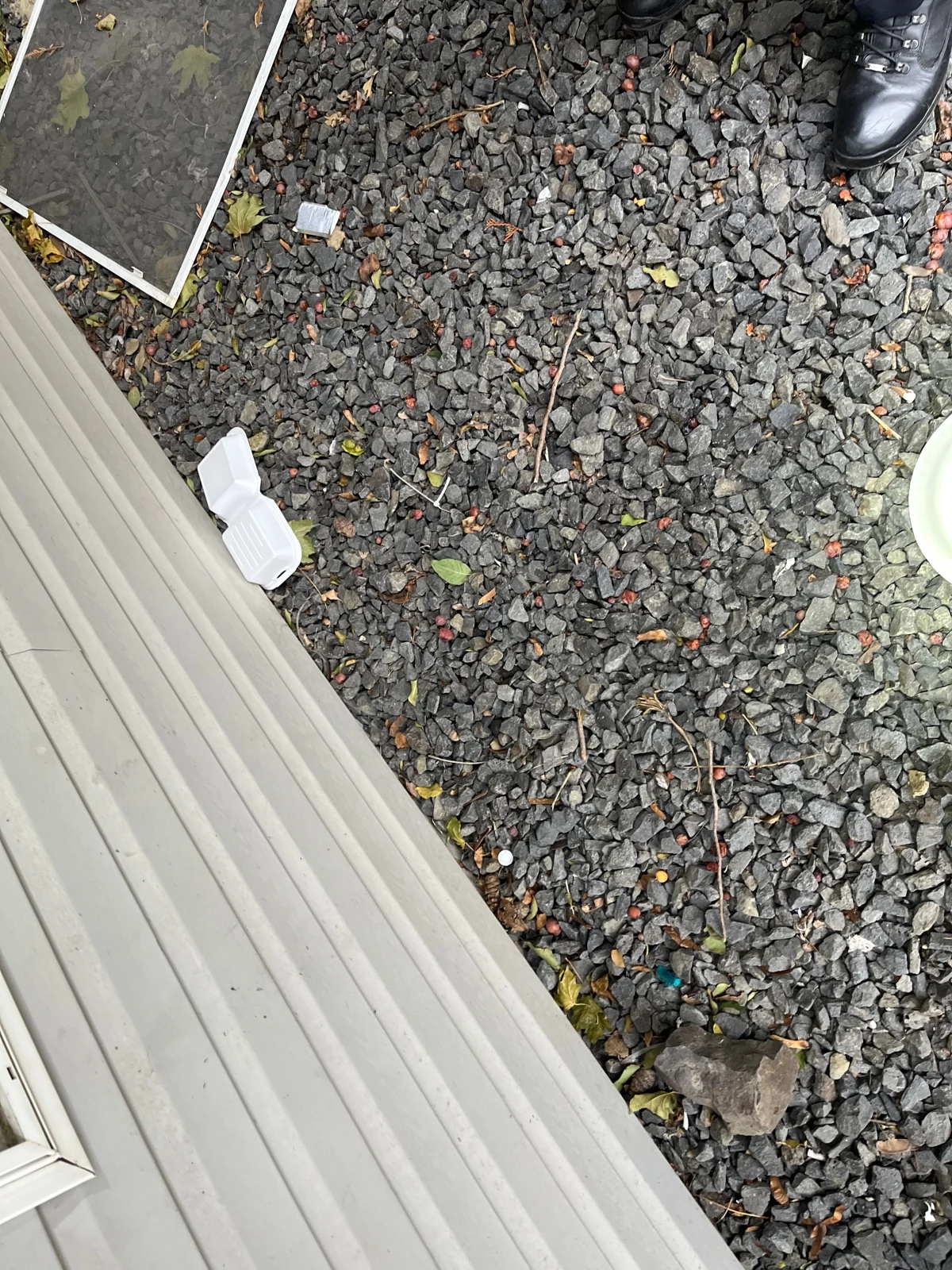 Downward view beside house siding of gravel, leaves, discarded foam packaging, a window screen edge and part of a black boot.