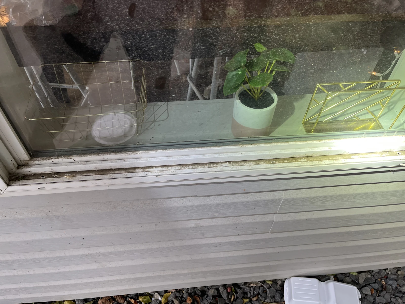 Lower part of a window with a potted plant and wire containers on the interior sill, viewed from outside.