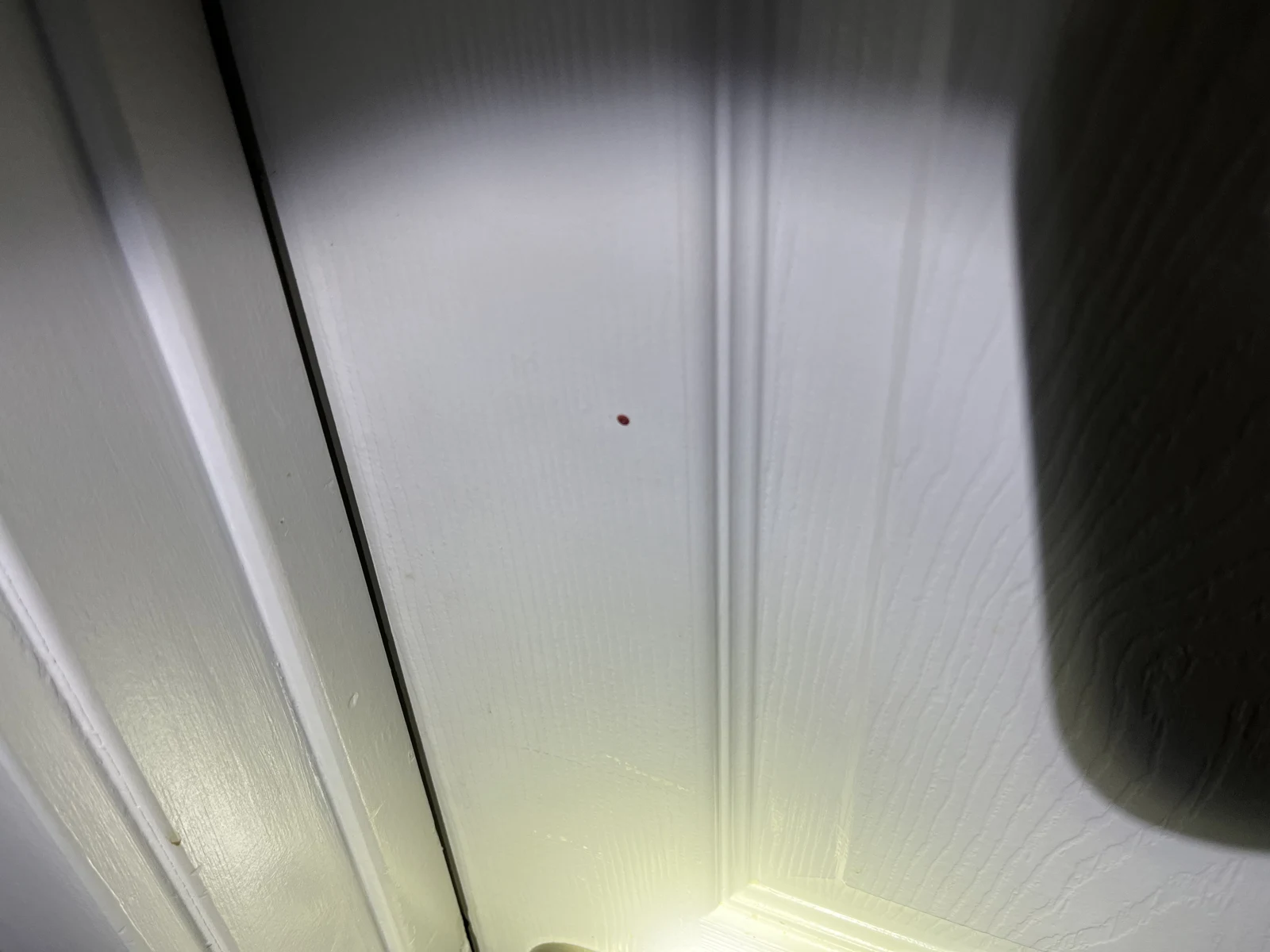 Close photograph of a white door panel with a small dark reddish spot, illuminated by a flashlight.