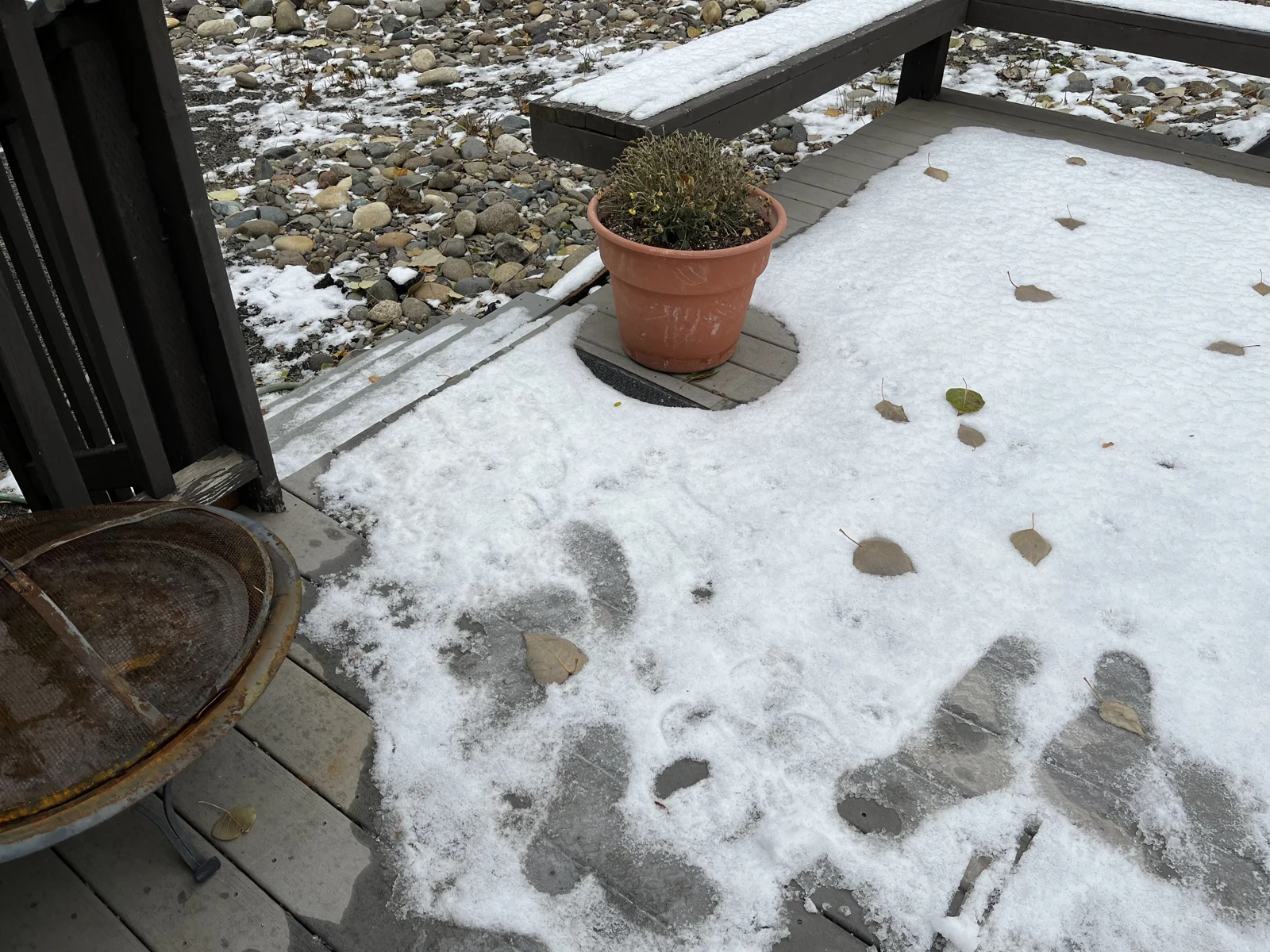 Closer view of shoe-shaped impressions in snow on a wooden porch beside a potted plant and railing.