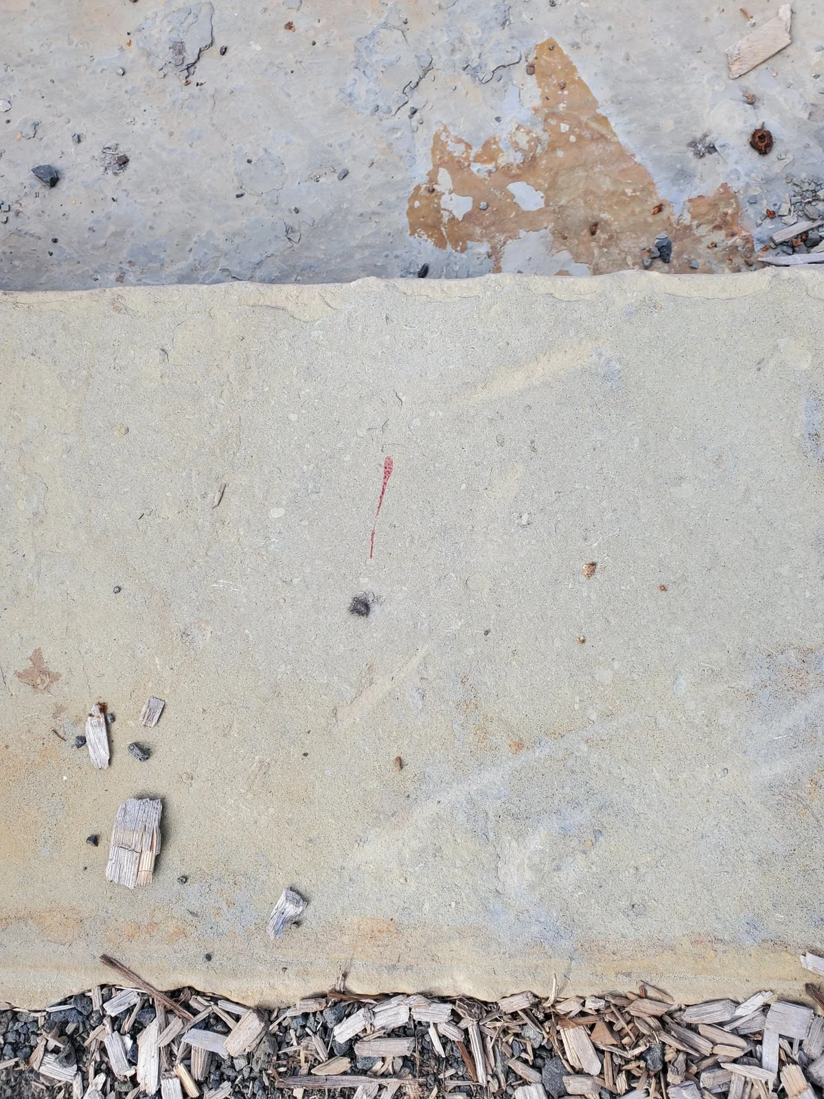 Flat stone surface with a thin reddish mark and small debris, beside wood chips.