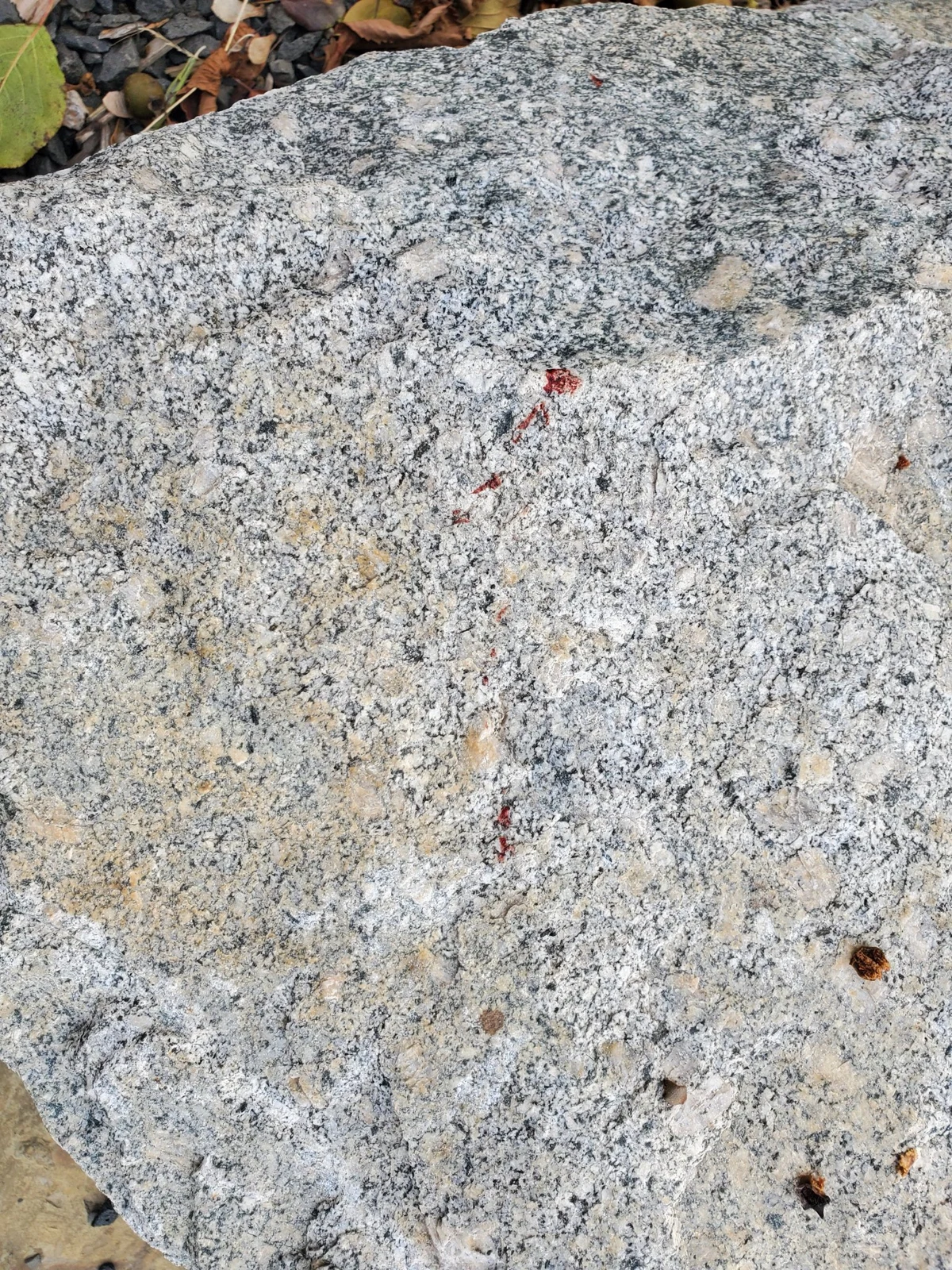 Close view of a granite rock with a small reddish mark and pale chipped area, with leaves at the edge.
