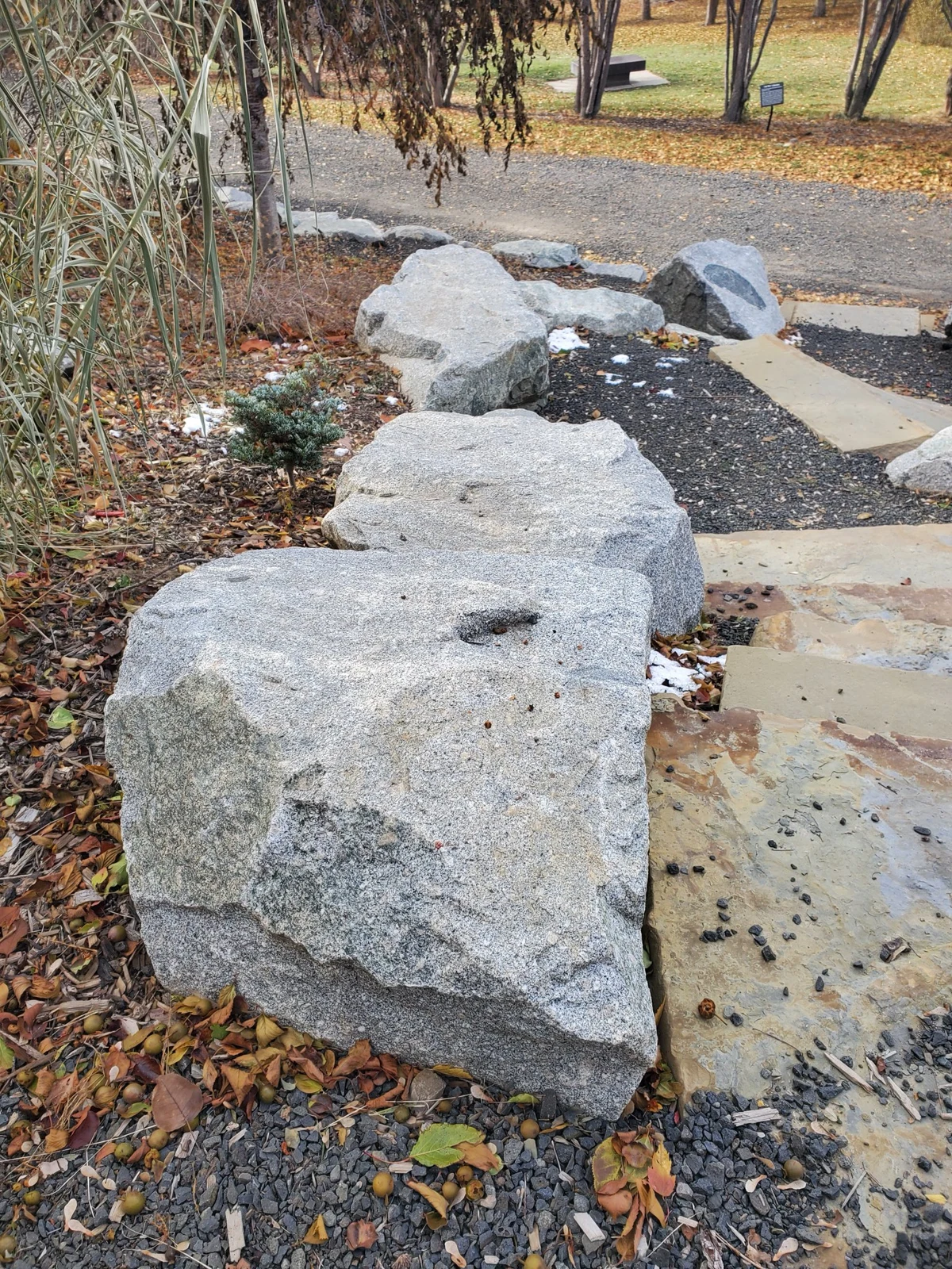 Large landscaping rocks and flat stone steps beside a paved path, fallen leaves and shrubs.