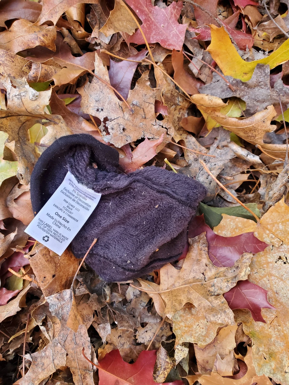 Dark knitted cap with its white care label turned outward, resting on autumn leaves.