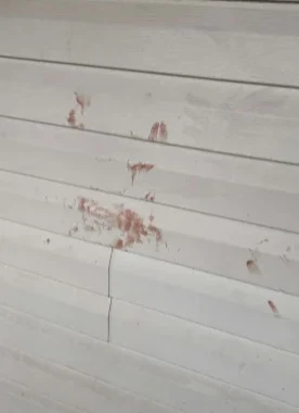 Reddish smears and streaks across pale horizontal siding.