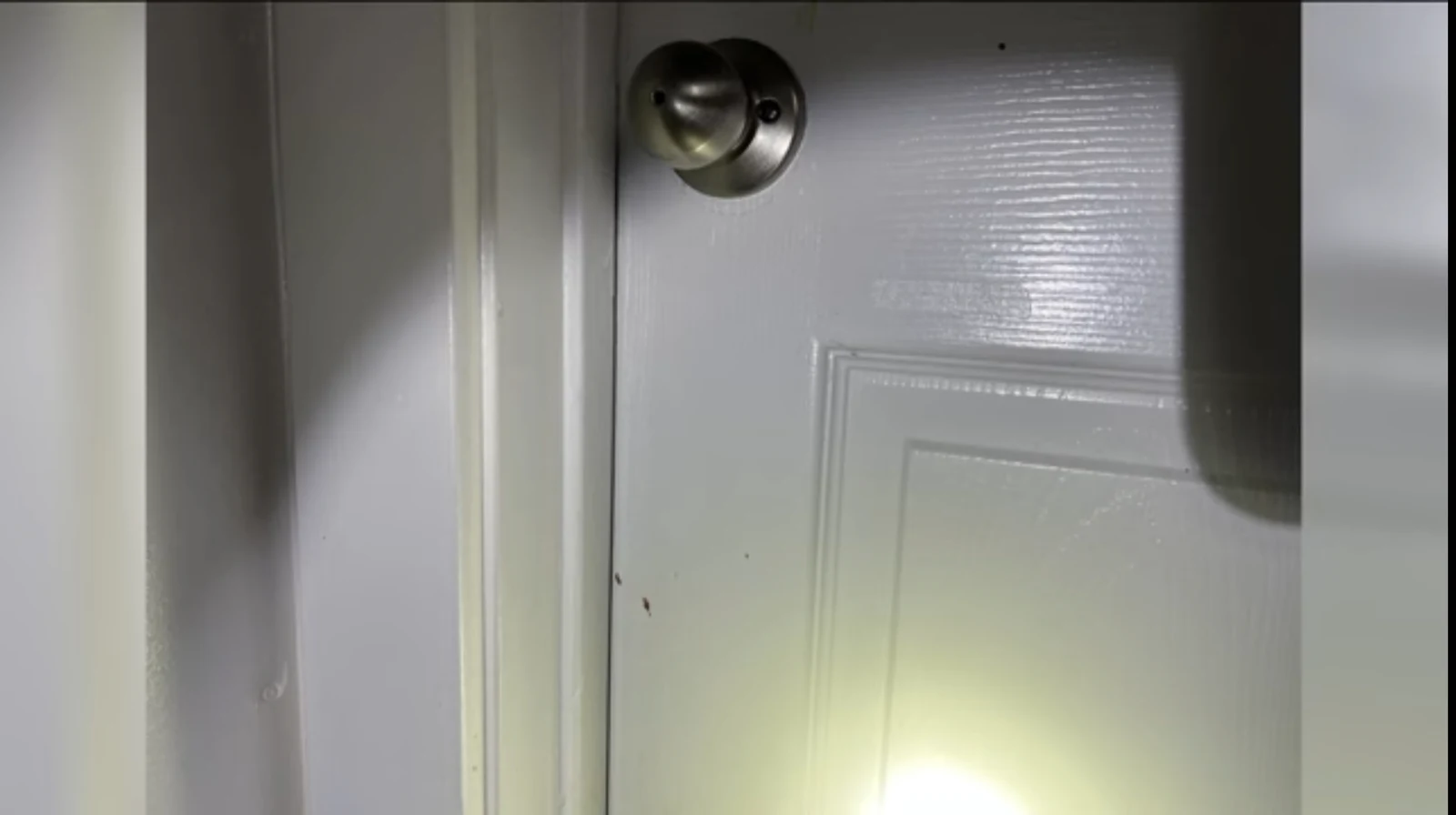 Close view of a white paneled door and round metal doorknob, with bright light near the bottom.