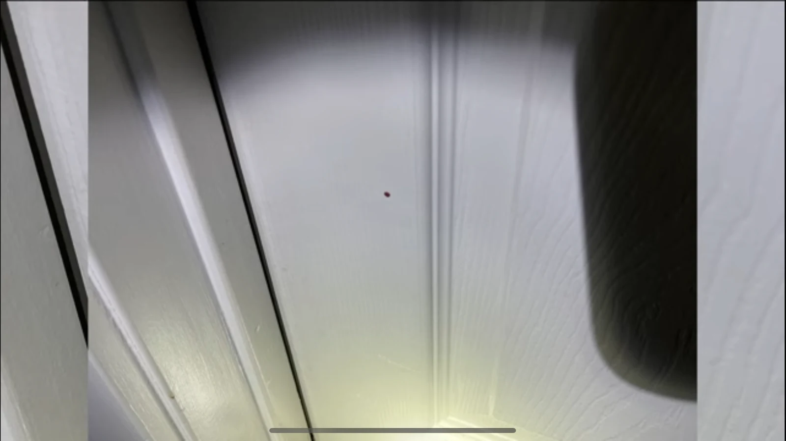 Close view of a small reddish spot on a white paneled door.
