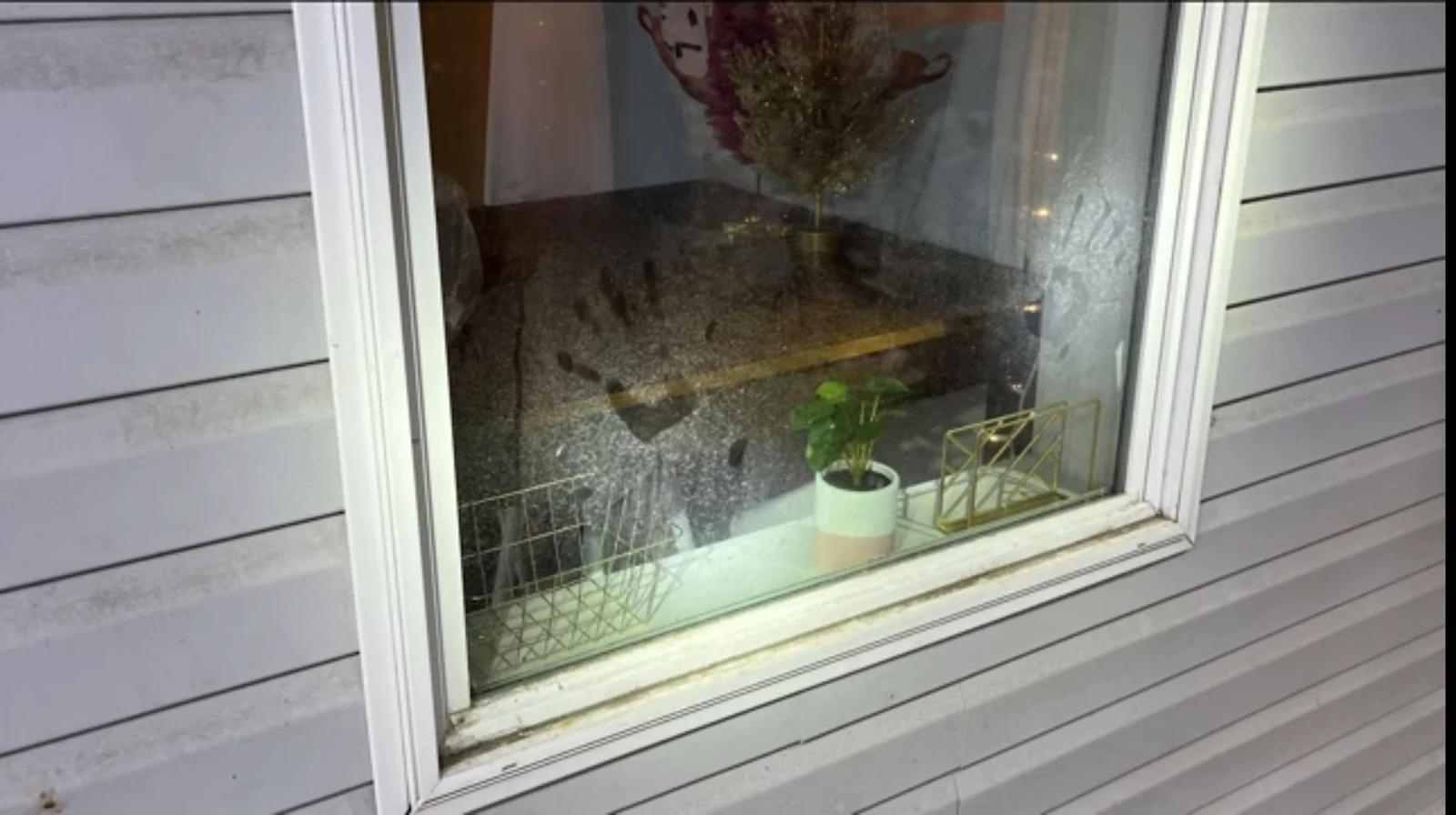 Exterior view of a window in pale siding, with a potted plant and wire baskets on the interior sill.