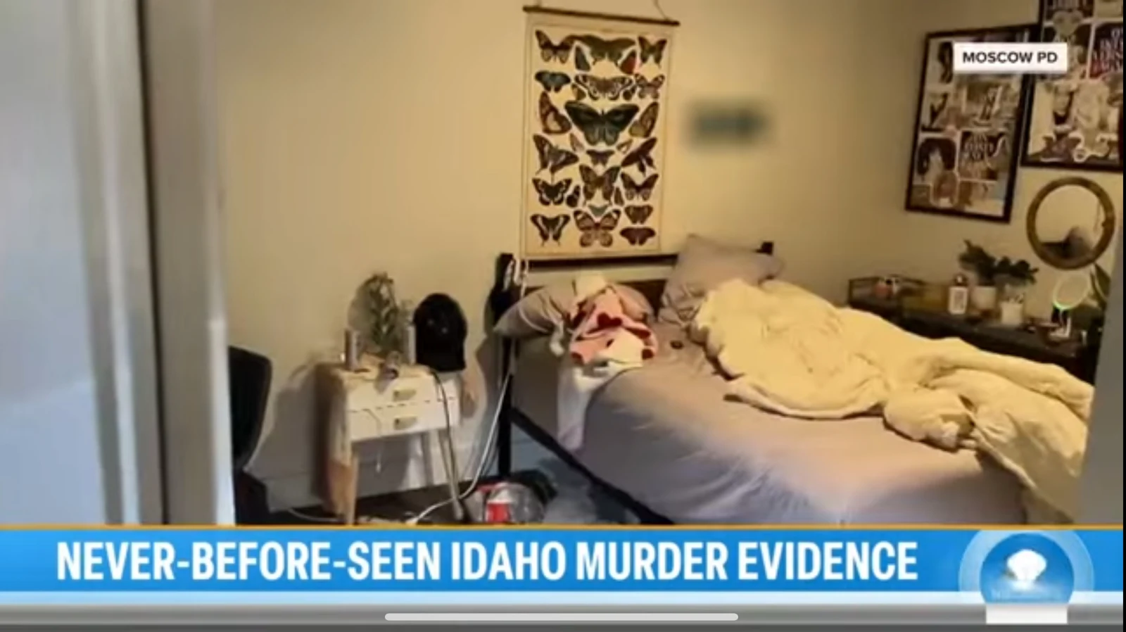 News screenshot of a bedroom with rumpled bedding, a butterfly wall hanging, framed collage, mirror and bedside furniture.