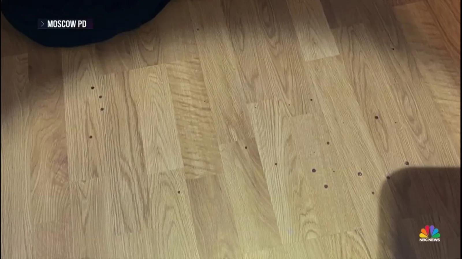 News image of wood flooring with small dark spots and the edge of a dark fabric item.