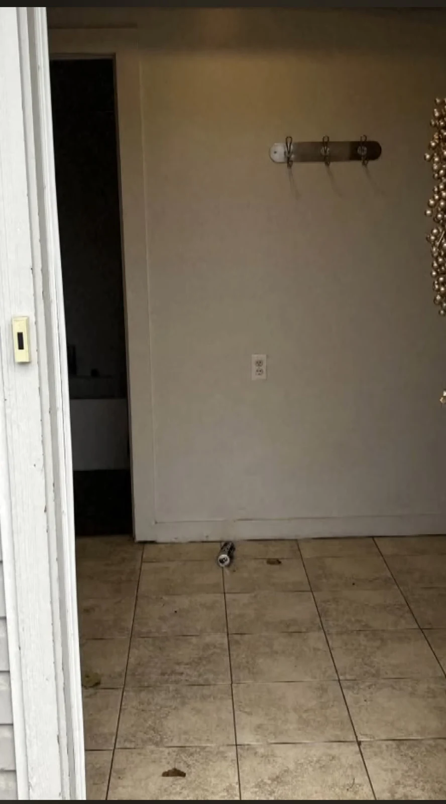 Open doorway onto a tiled floor and bare wall with coat hooks, with a can on the floor.