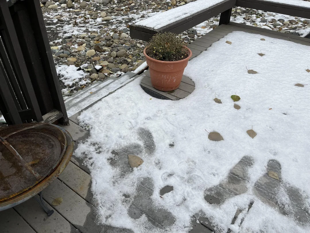 Footprints in snow on a wooden porch beside a planter and railing.