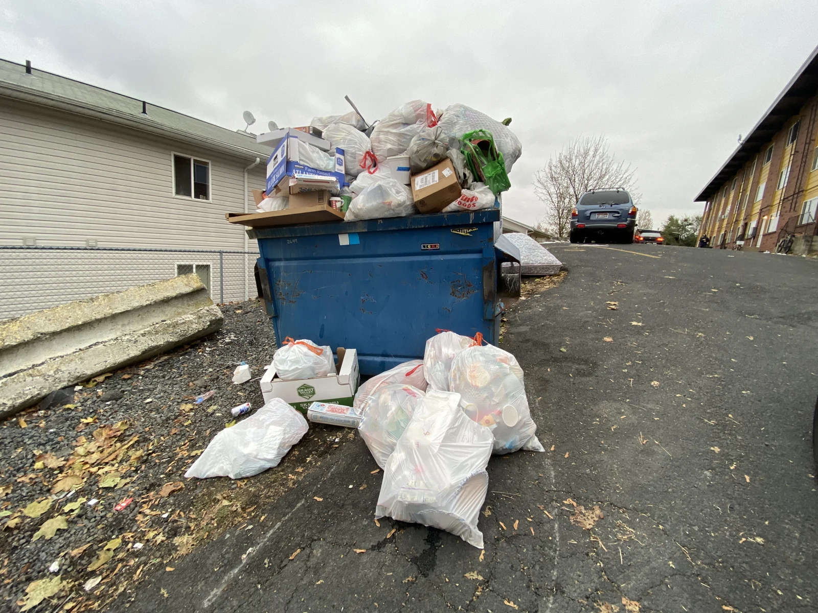 Overflowing blue dumpster piled with bags and boxes, with more trash bags on the asphalt in front.