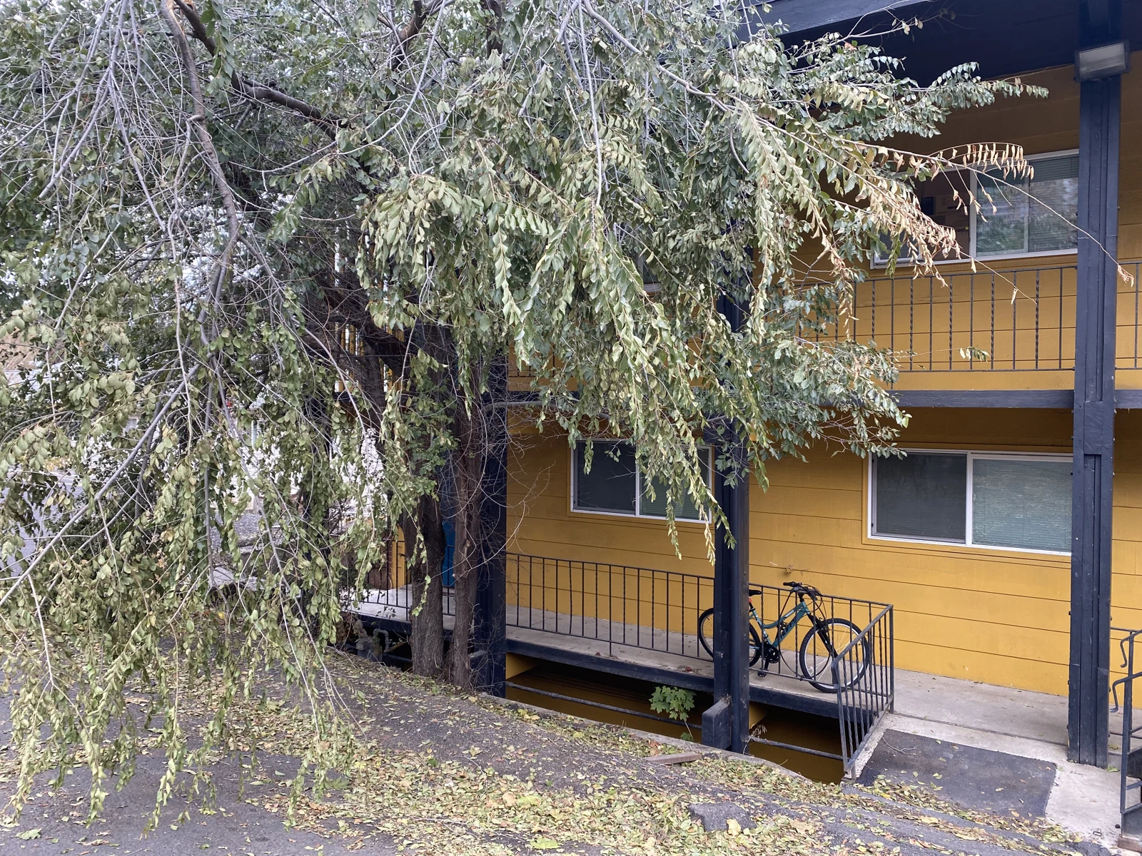 Yellow apartment building with exterior walkways, dark railings, a bicycle and overhanging tree branches.
