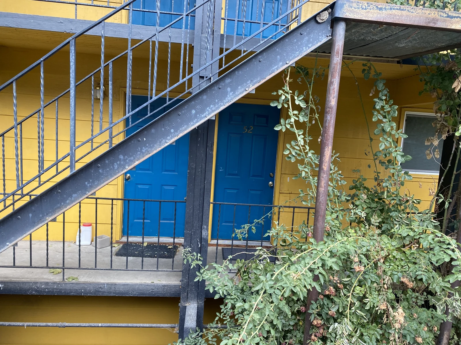Metal exterior staircase crossing in front of blue doors on a yellow apartment building, with shrubs below.