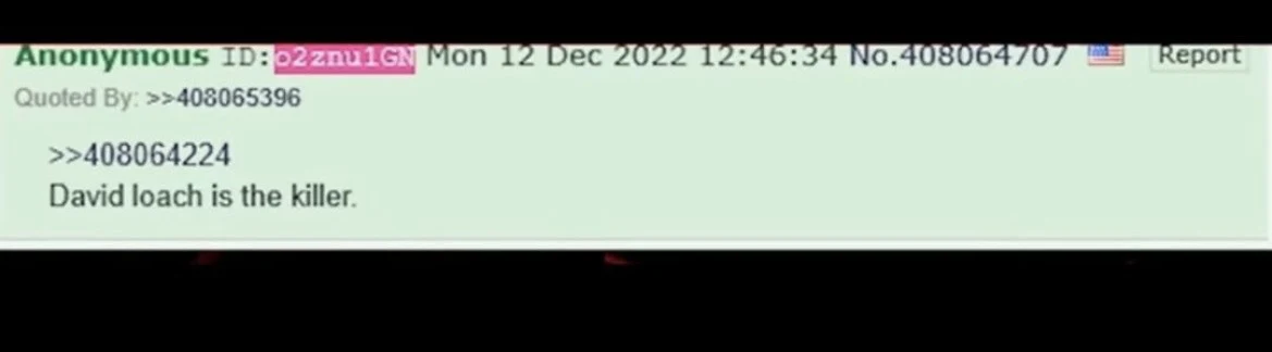 Single green anonymous forum message containing a direct accusation, with a timestamp and quoted reply link.