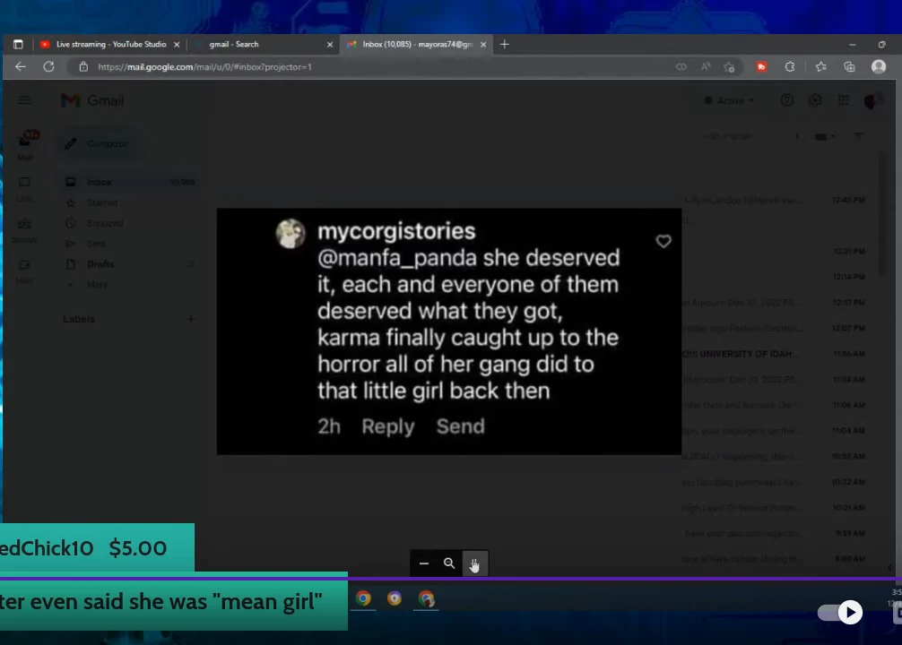 Livestream screenshot of an enlarged dark-background social-media comment and a donation banner.