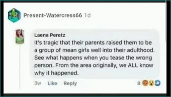 Screenshot of a social-media comment shared inside another post, containing an accusatory remark and reaction icons.