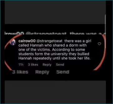 Dark social-media comment containing an allegation, circled in red over an enlarged background copy.