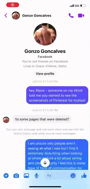 Phone Messenger screenshot showing a contact profile and purple message bubbles about sharing Pinterest screenshots.