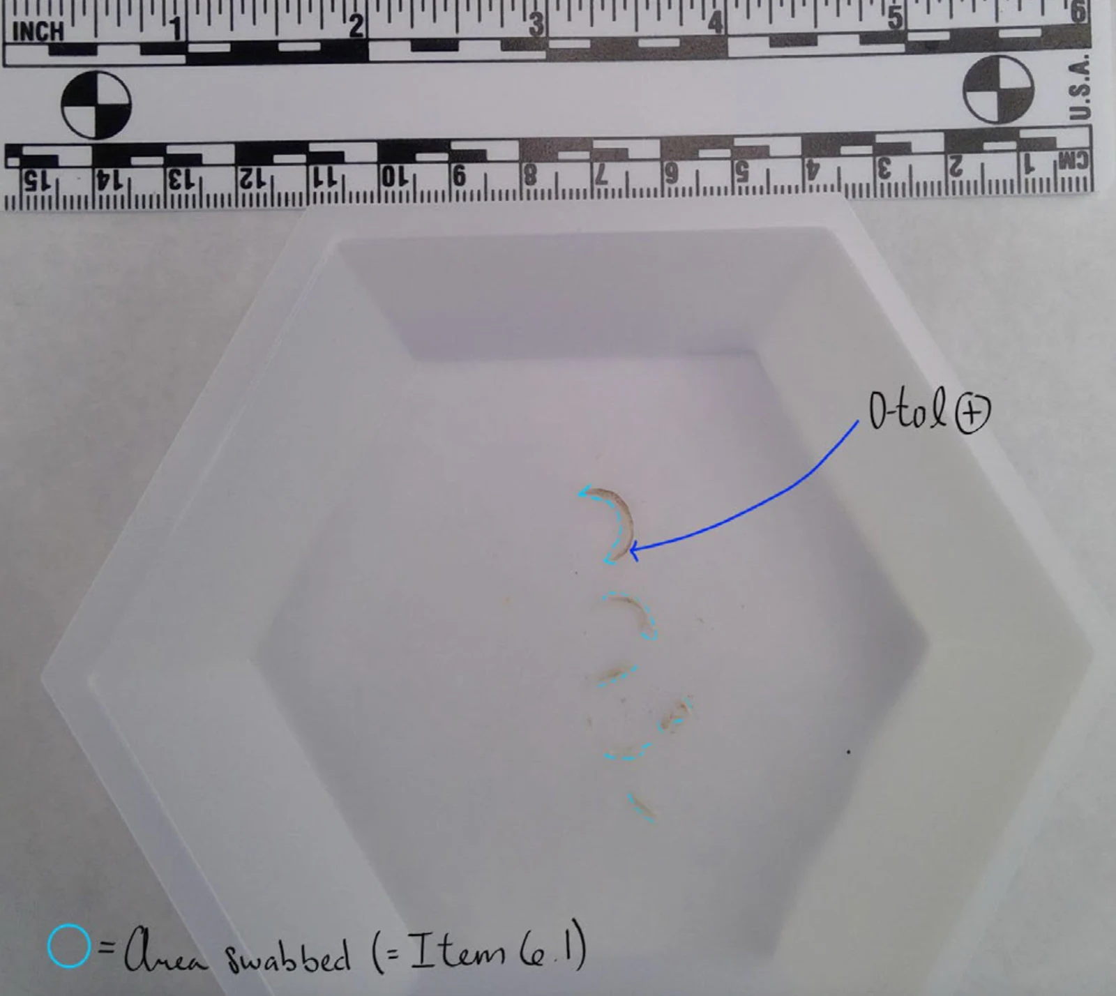 White shallow tray below a measurement scale, with small curved material outlined in blue and handwritten testing annotations.