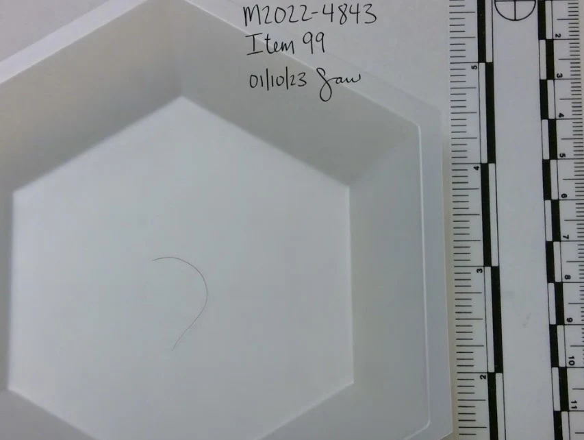 A single fine curved strand in a white shallow tray beside a measurement scale.