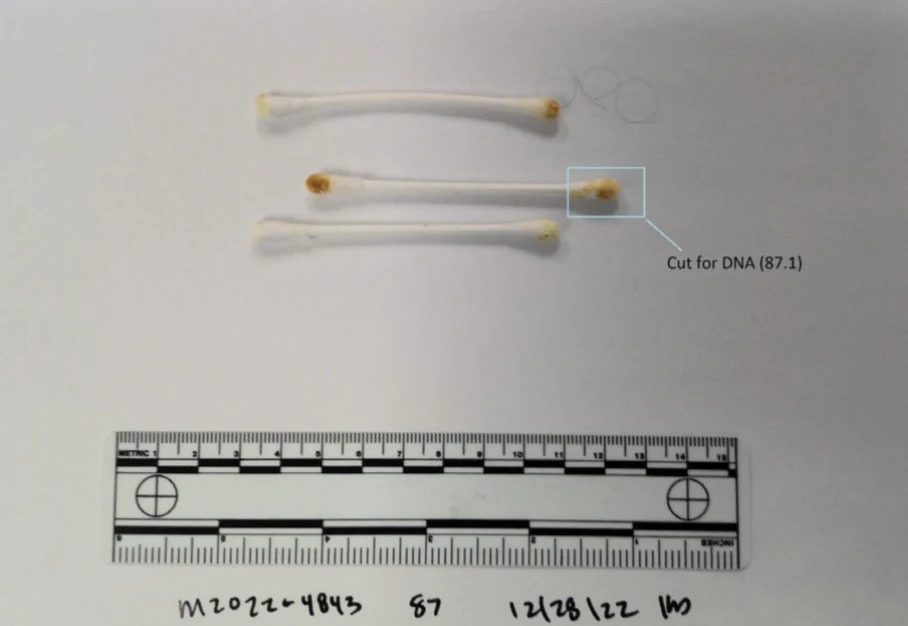 Three cotton swabs with discolored tips above a measurement scale, with a sample-cut outline around one tip.