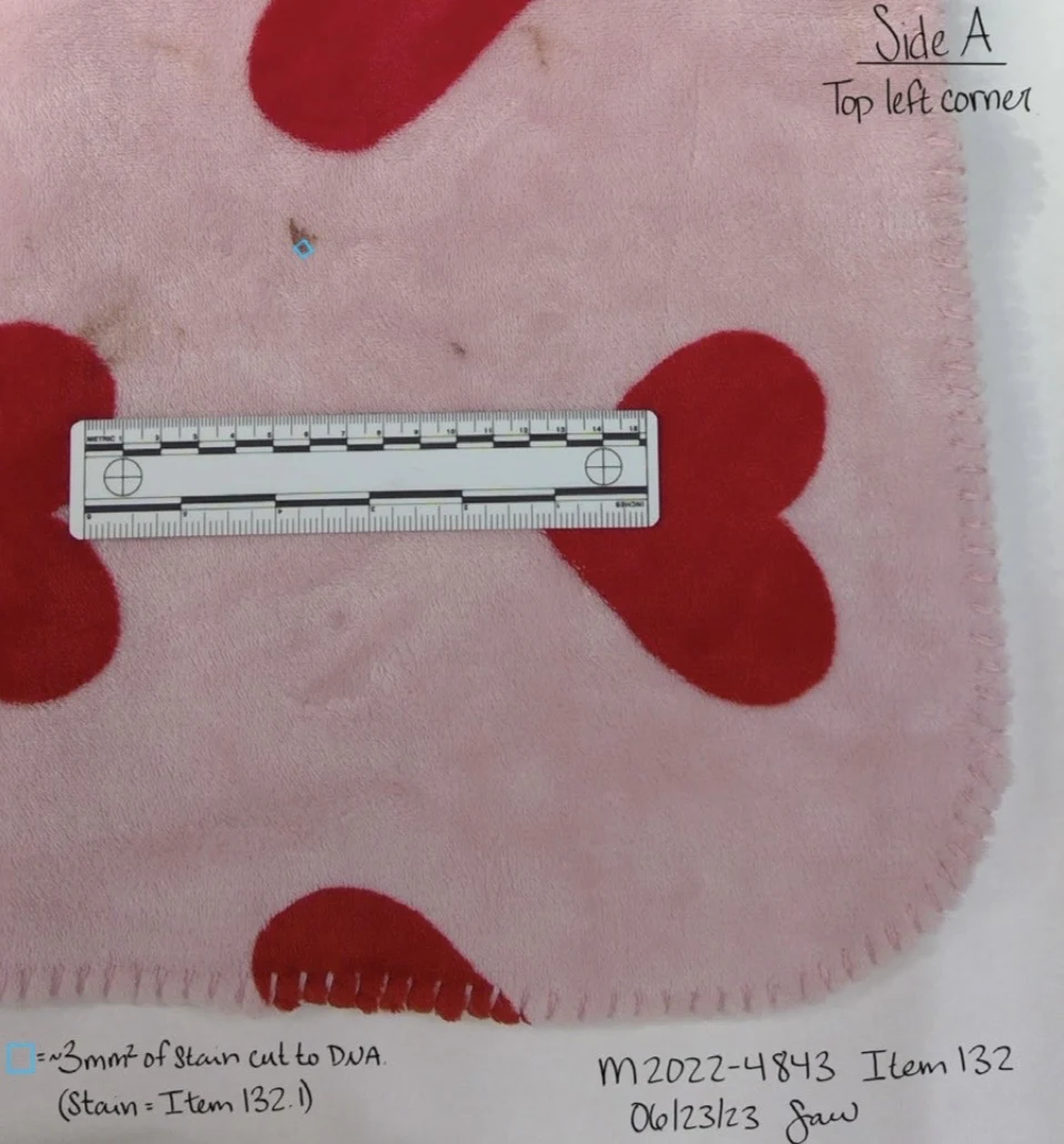 Close view of the top-left corner of a pink mat with red hearts, with a measurement scale and small blue sampling outline.