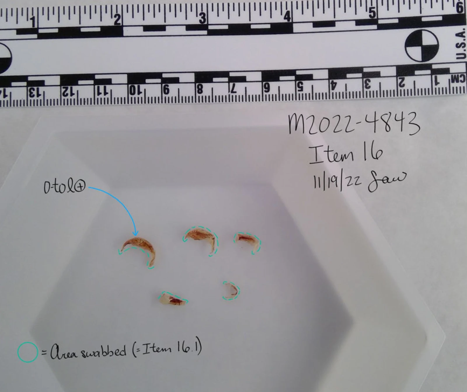 Five small curved clippings in a white tray below a measurement scale, outlined in blue with swab-area annotations and item 16.