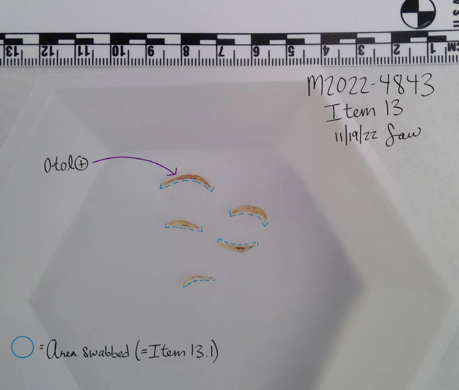 Five curved clippings in a white tray below a measurement scale, outlined in blue with swab-area annotations and item 13.