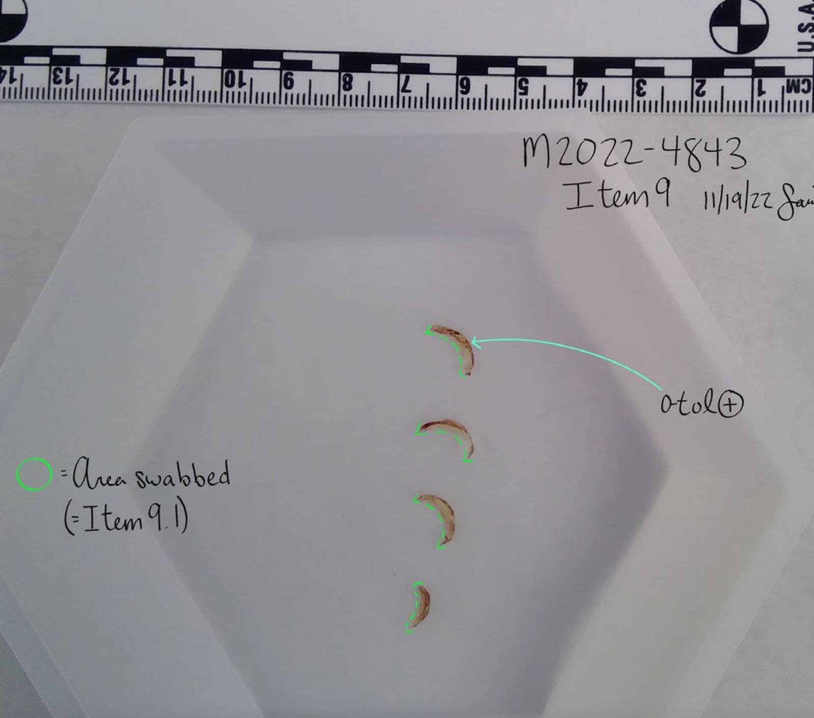 Four small curved clippings in a white tray beneath a measurement scale, outlined in green with swab-area annotations and item 9.
