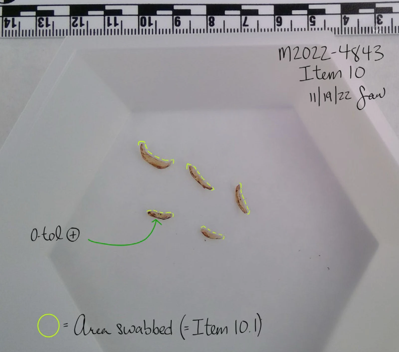 Five curved clippings in a white tray beneath a measurement scale, outlined in yellow with swab-area annotations and item 10.