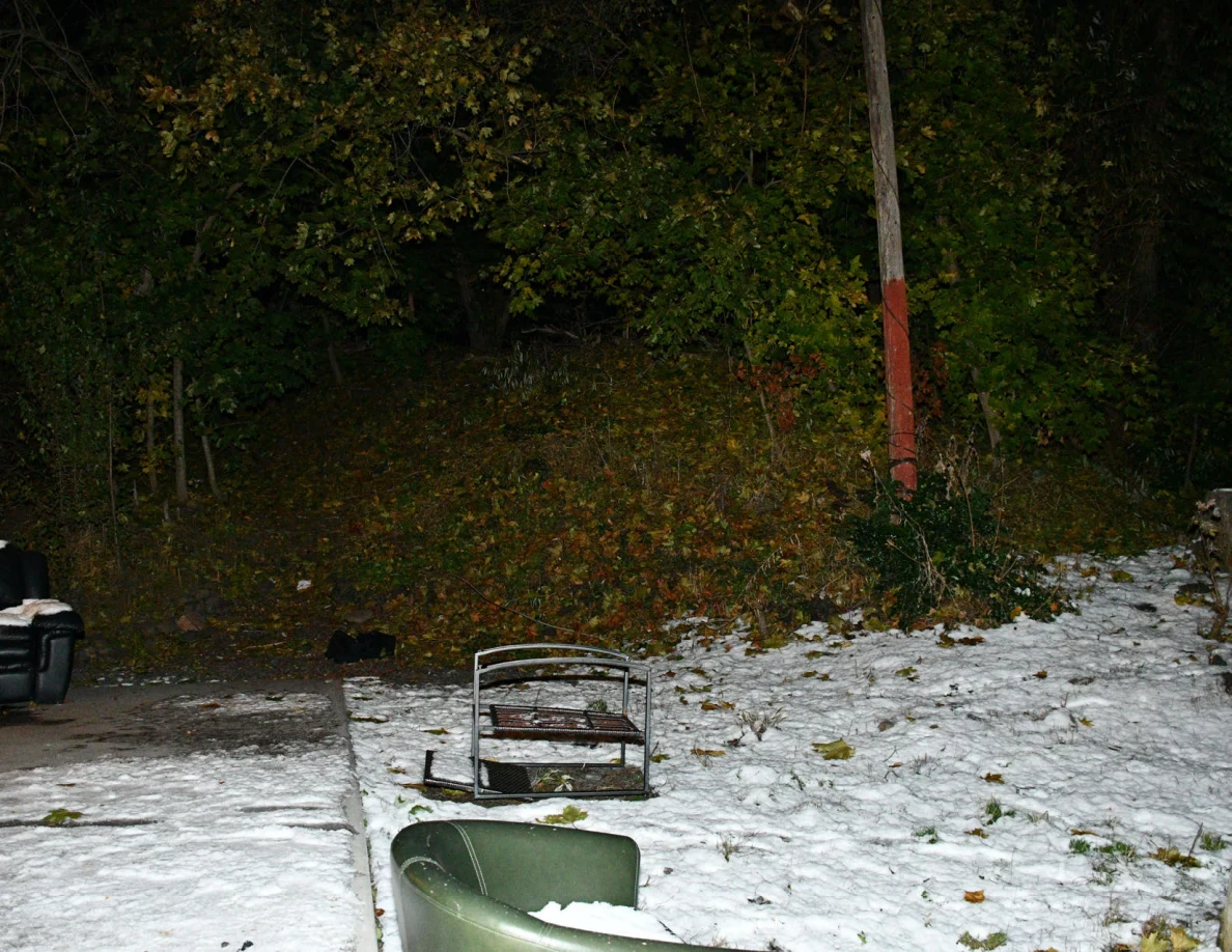 Snowy yard with outdoor chairs and trees.