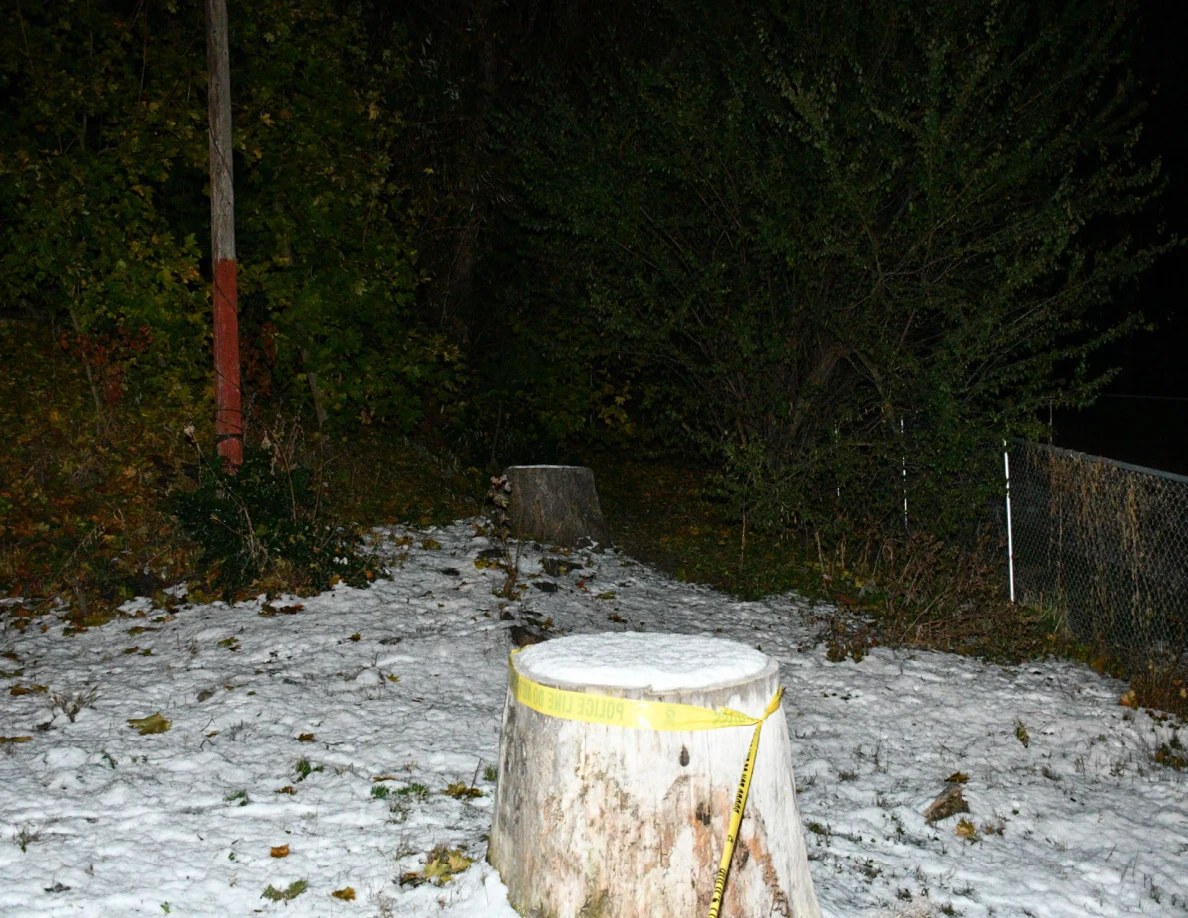 Tree stump surrounded by snow and yellow barrier tape.