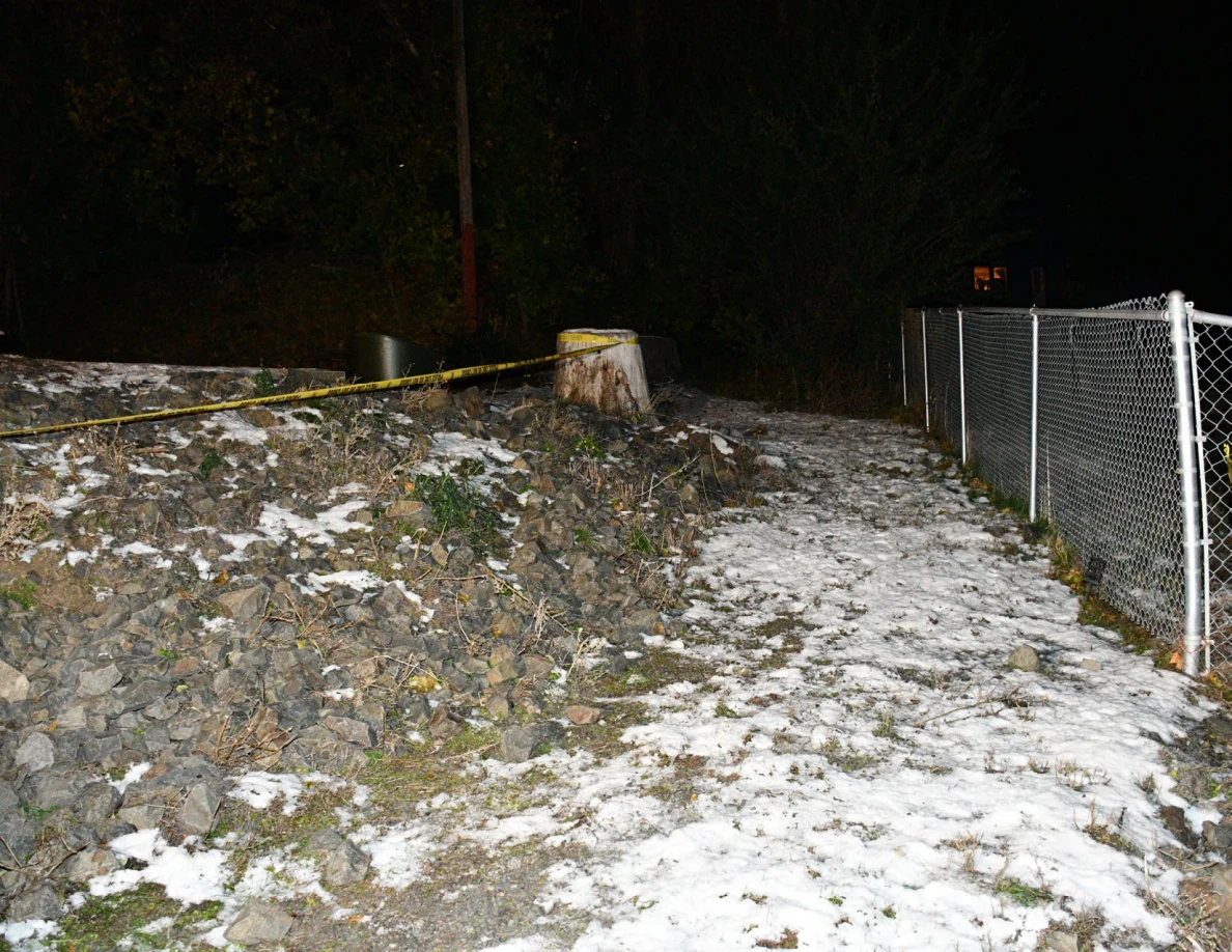 Snowy slope, tree stump and chain-link fence.