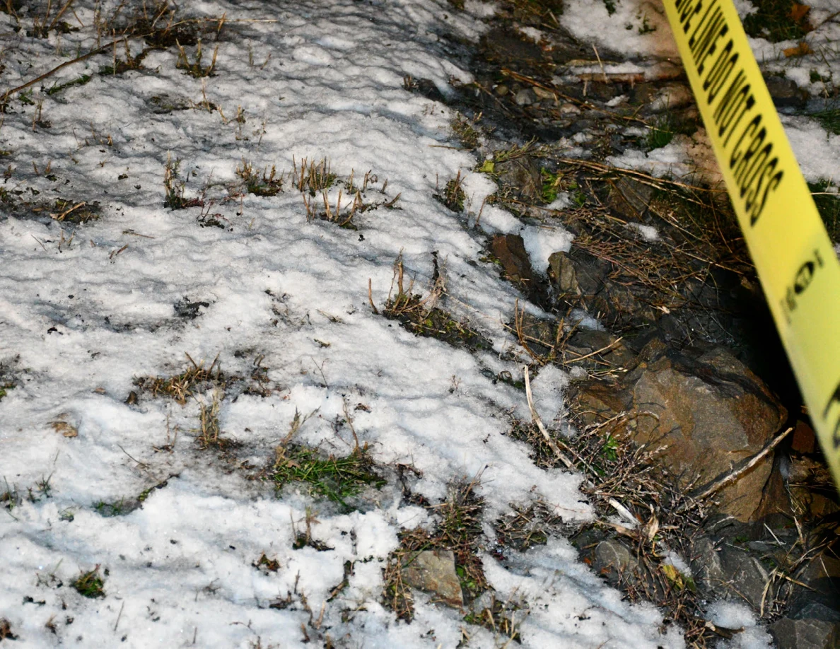 Close view of snow, stones, vegetation and yellow barrier tape.