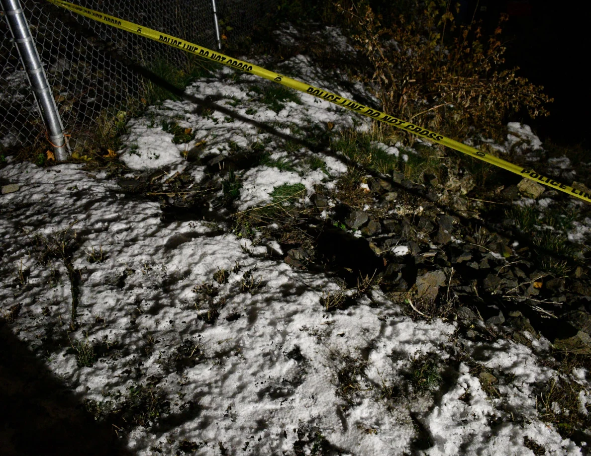 Snow-covered ground and shrubs beneath yellow barrier tape.